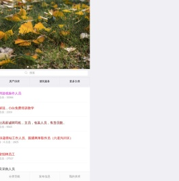 丹东供求网