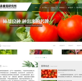 单县番茄研究所,柿都番茄,柿都良种,番茄种子,小番茄种子,辣椒种子,黄瓜种子