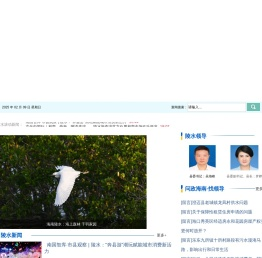 陵水新闻网