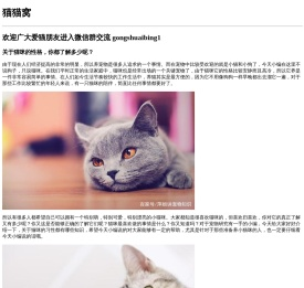 猫猫窝