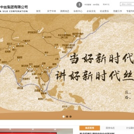 中国中丝集团有限公司