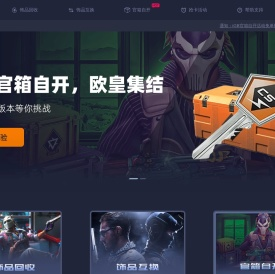 CS2饰品回收