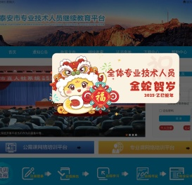 泰安市专业技术人员公共服务平台