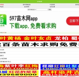 597苗木网