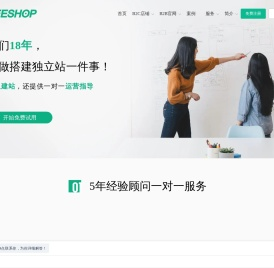 独立站