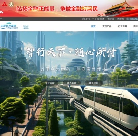 智付电子支付有限公司
