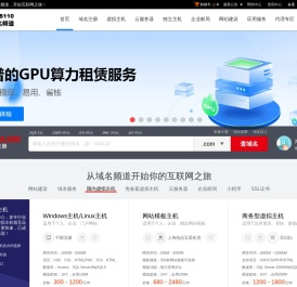 DNS110域名频道