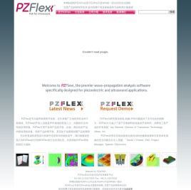 PZFlex超声