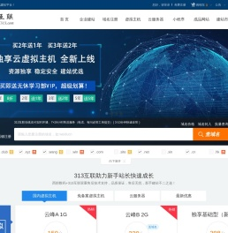 313互联
