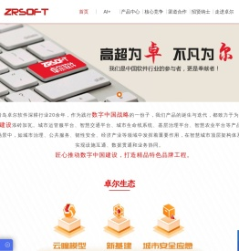 青岛软件公司