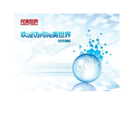 完美世界网络技术有限公司