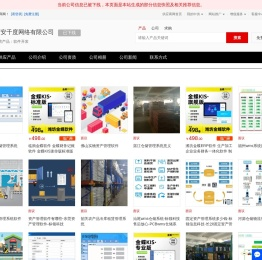 软件开发