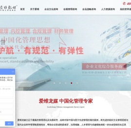 爱维龙媒咨询集团
