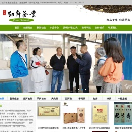 纳新茶业