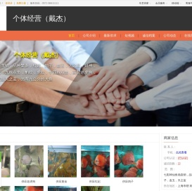 七彩神仙鱼批发