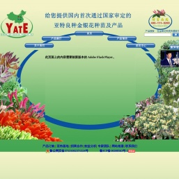 亚特金银花网