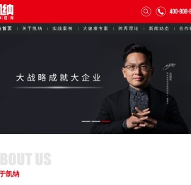 凯纳咨询集团