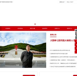 大梨树官方网站