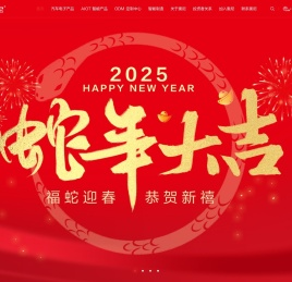 深圳奥尼电子股份有限公司
