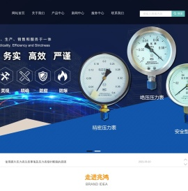 不锈钢差压力表