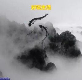 好玩生活