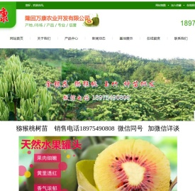 种植好项目/万康农业