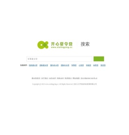 2025国内