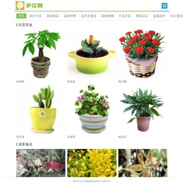 花卉网