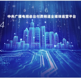 中国电视网