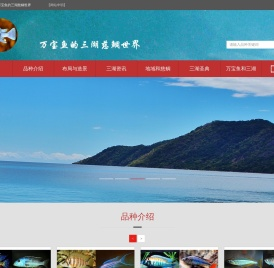 万宝鱼的三湖慈鲷世界