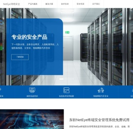 东软网络安全
