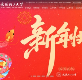 武汉轻工大学