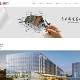 高力控股集团有限公司