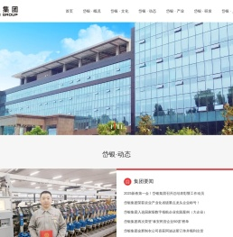 岱银集团