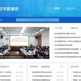 武汉市数据局