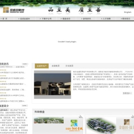 南京金盛田集团