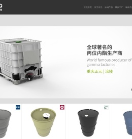 北大正元