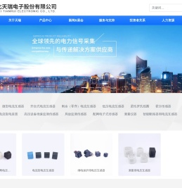 湖北天瑞电子股份有限公司