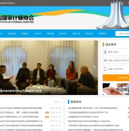 广西内部审计师协会