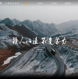 狮桥集团