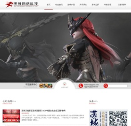 天魂网络