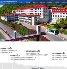 沁新集团