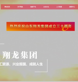 山东翔龙集团