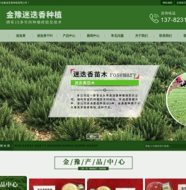 迷迭香