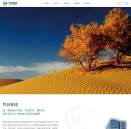野风集团有限公司