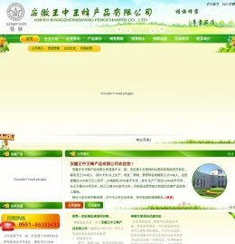 安徽王中王蜂产品有限公司