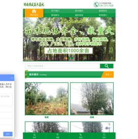 益阳市资阳区强盛苗木基地
