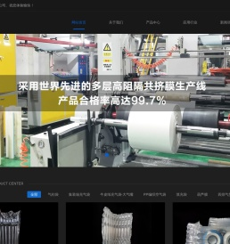 集装箱打包充气袋