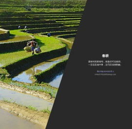 微信管理平台