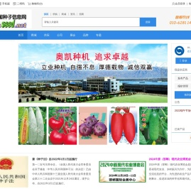 中国种子信息网